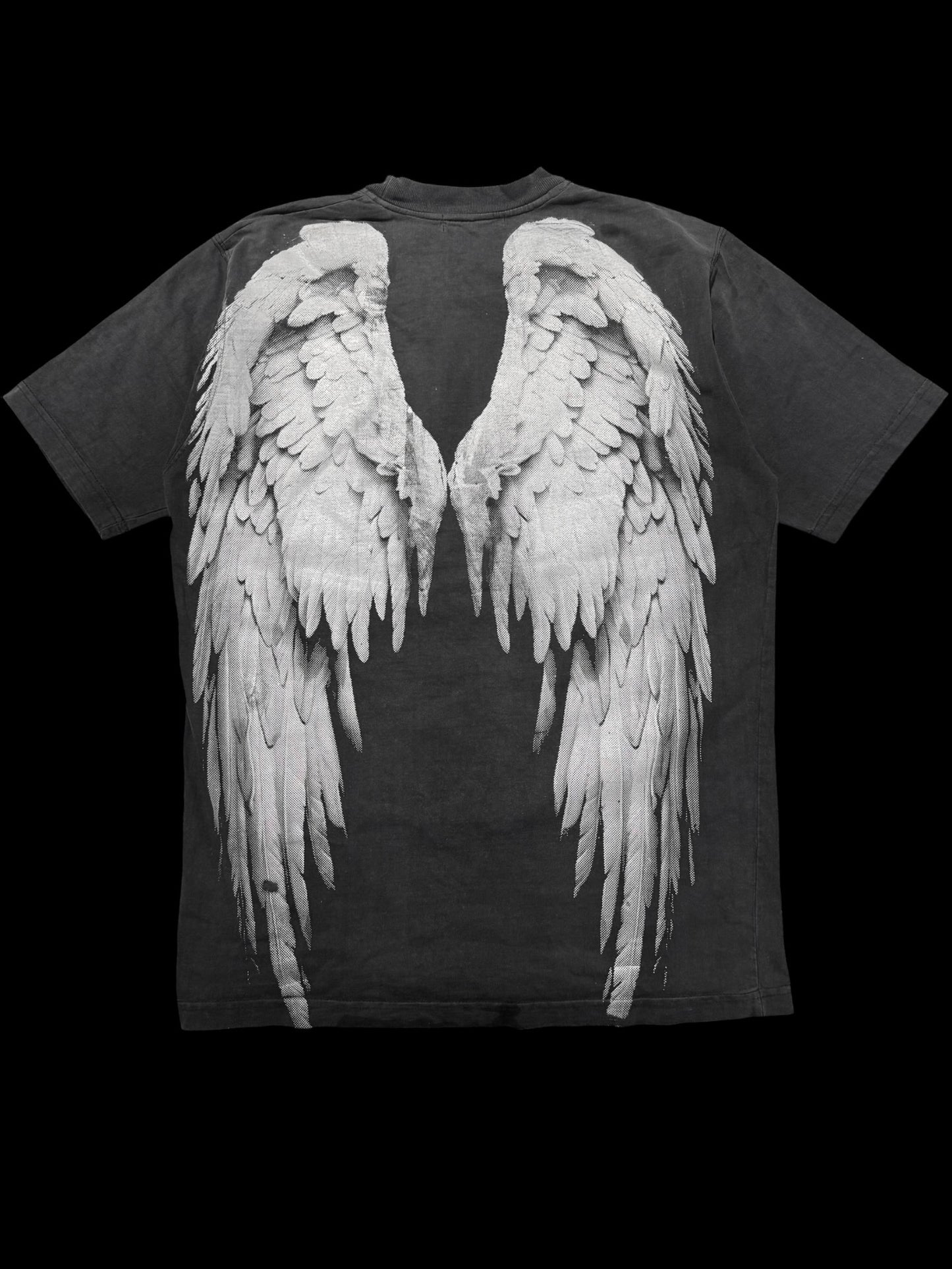 Valkyrie x Angel Wings T-Shirt