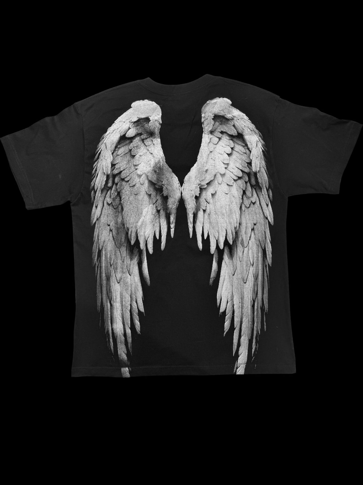 Valkyrie x Angel Wings T-Shirt