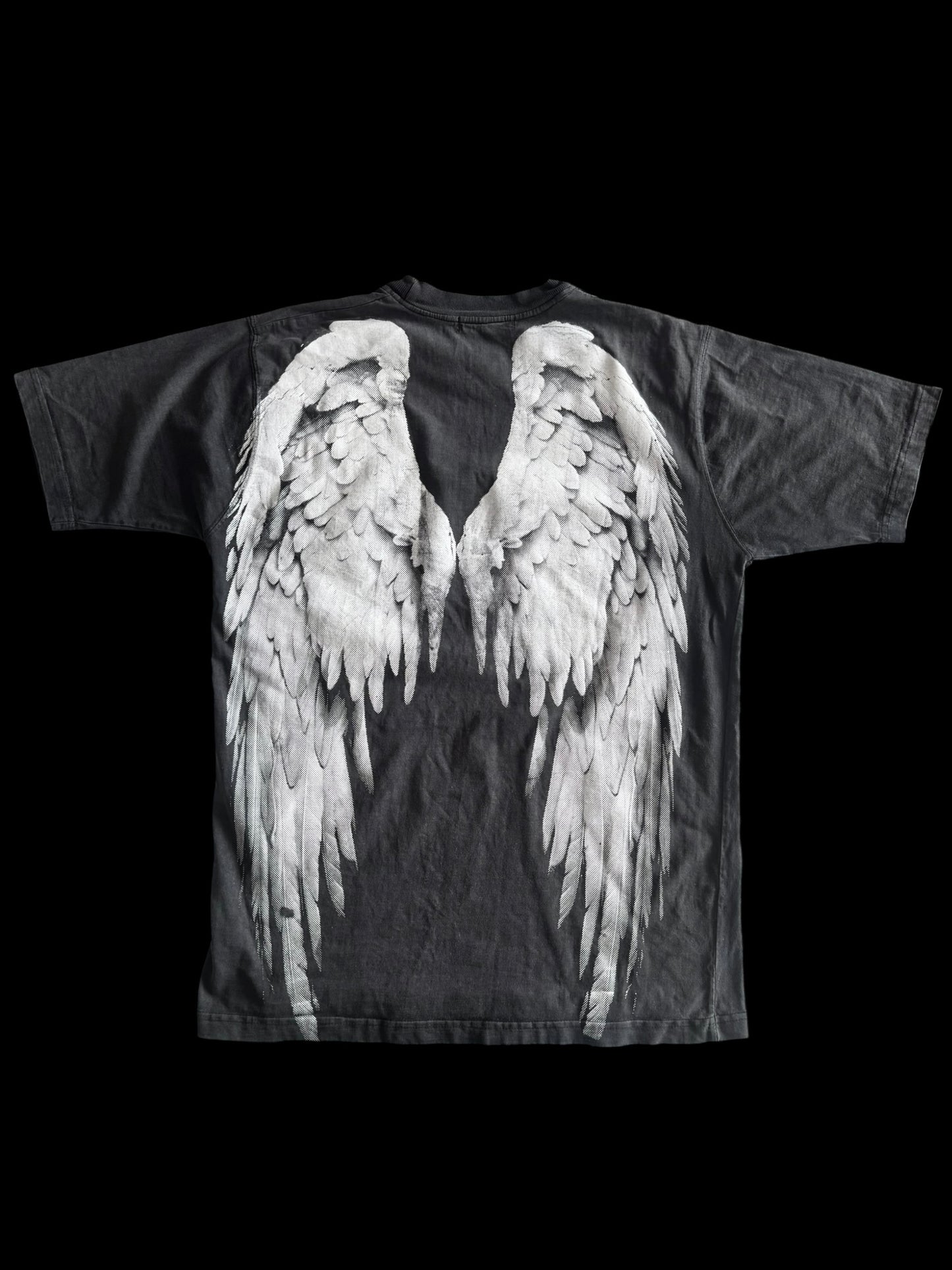 Valkyrie x Angel Wings